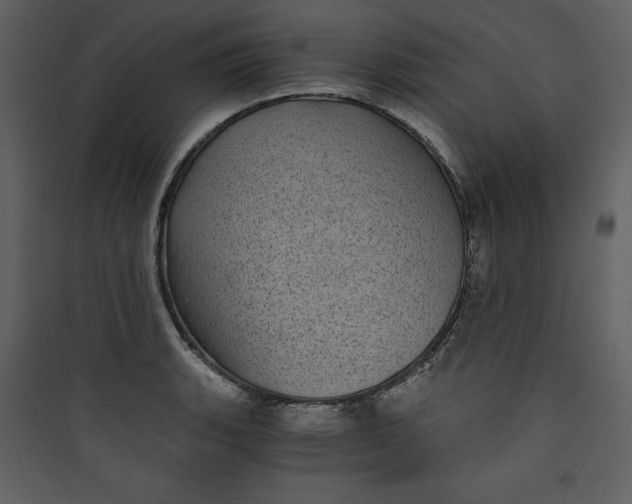 X0000089751135200707121336