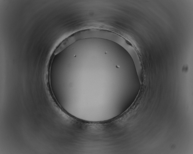 X0000089751136200707121336