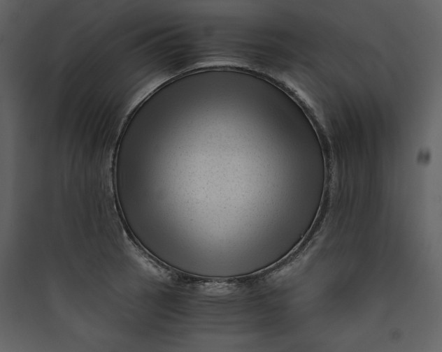 X0000089751137200707121336