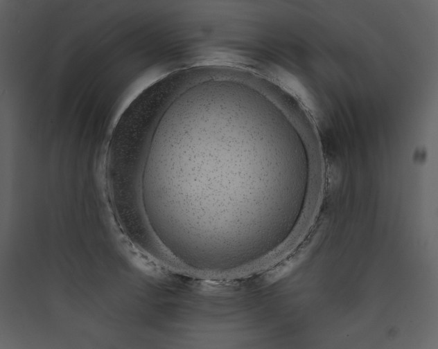 X0000089751138200707121336