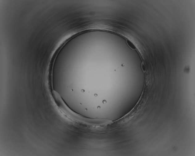 X0000089751139200707121336