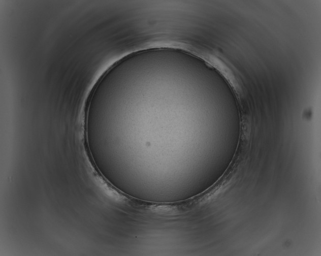 X0000089751140200707121336