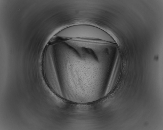 X0000089751142200707121336