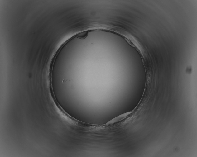 X0000089751143200707121336