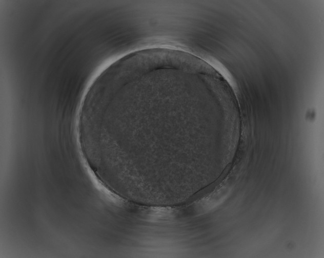 X0000089751144200707121336