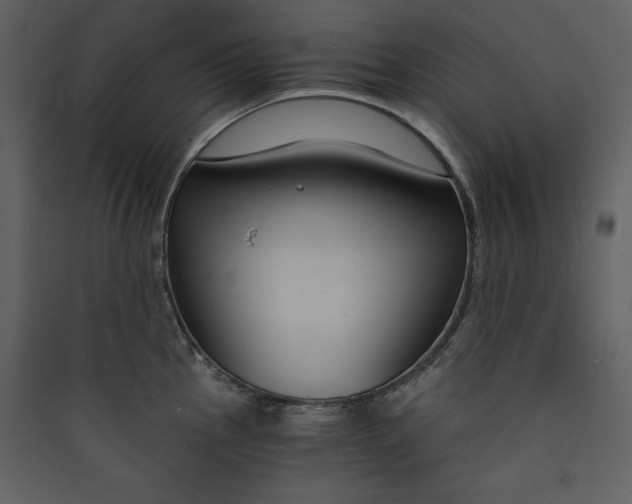 X0000089751145200707121336