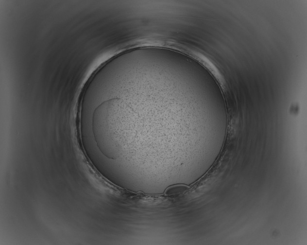 X0000089751146200707121336