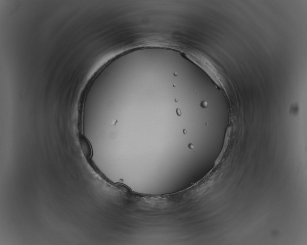 X0000089751147200707121336