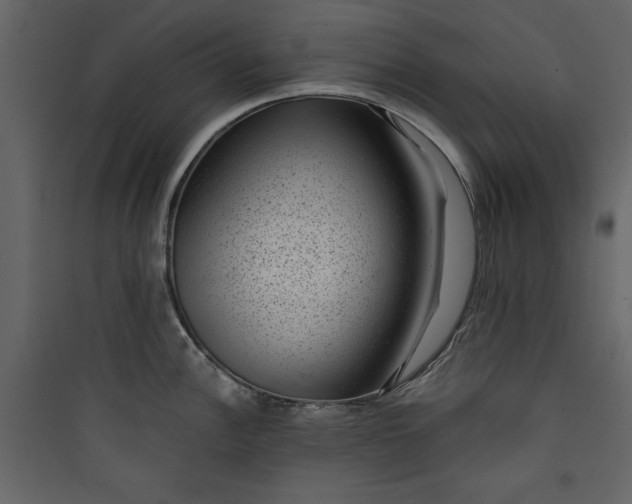 X0000089751148200707121336