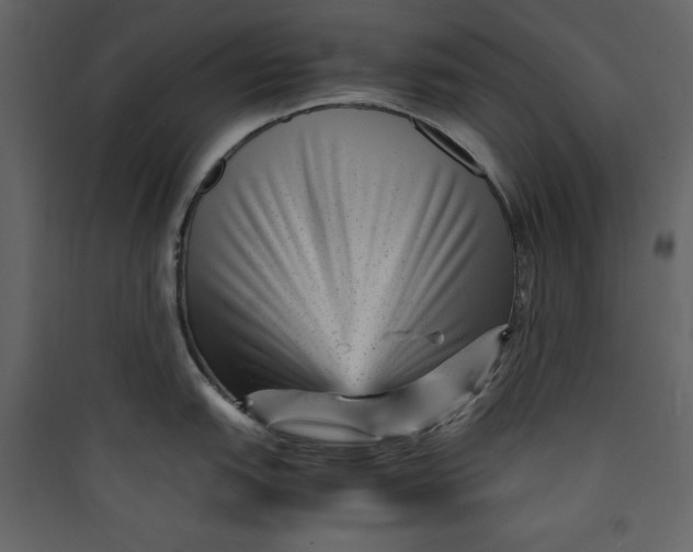 X0000089751151200707121336