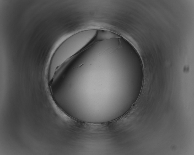 X0000089751152200707121336