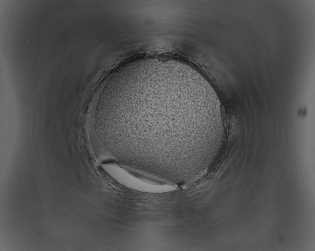 X0000089751153200707121335