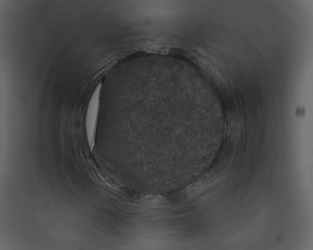 X0000089751154200707121335