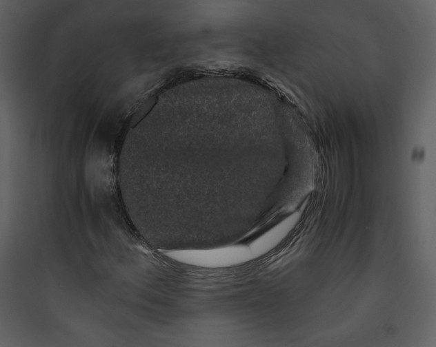 X0000089751156200707121335