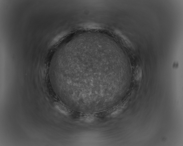 X0000089751157200707121335