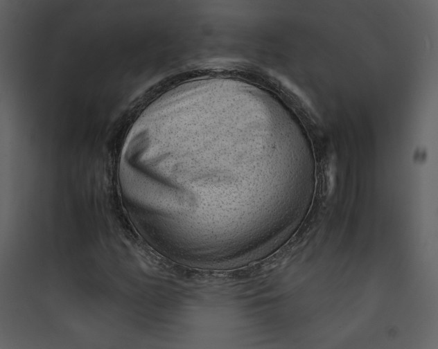 X0000089751158200707121335