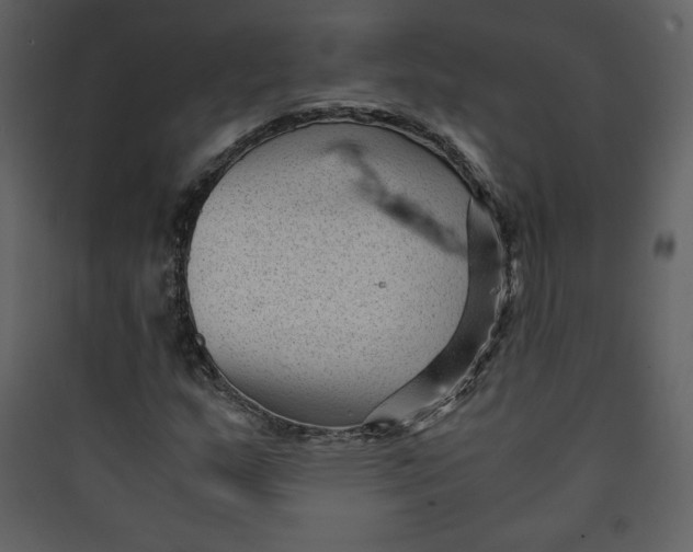 X0000089751159200707121335