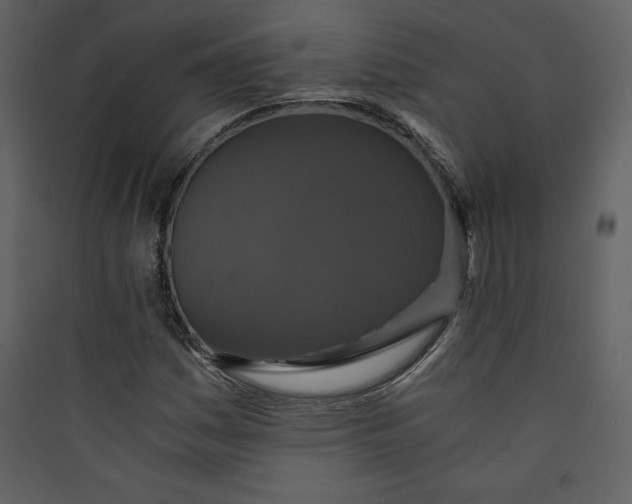 X0000089751161200707121335