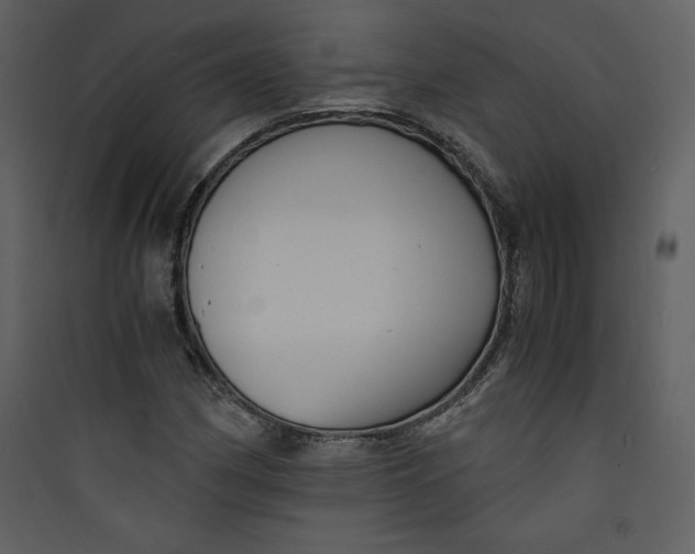 X0000089751162200707121335