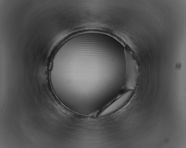 X0000089751164200707121335