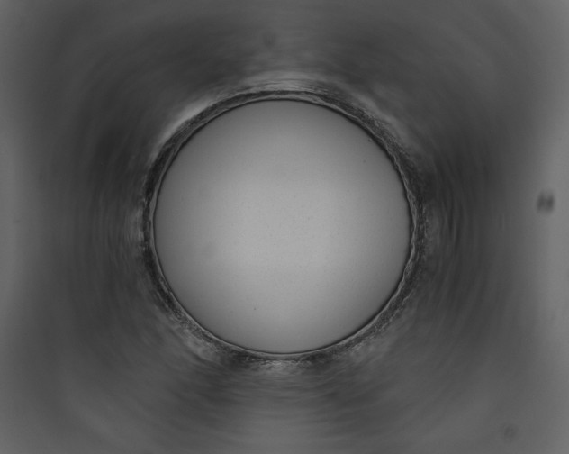 X0000089751166200707121335