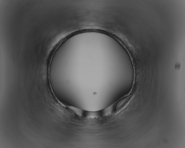 X0000089751167200707121335