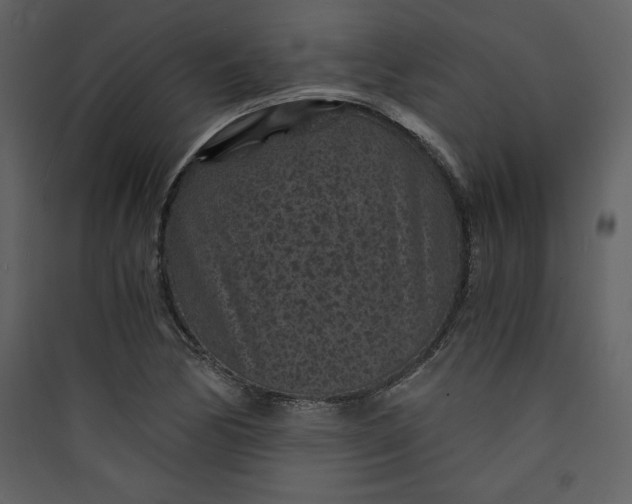 X0000089751170200707121335