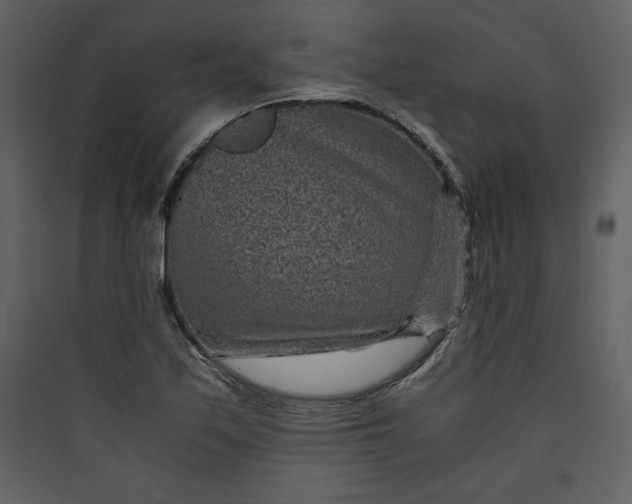 X0000089751171200707121335