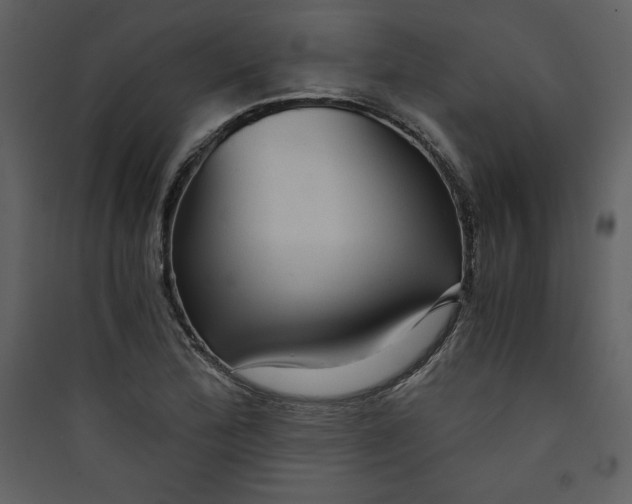 X0000089751172200707121335