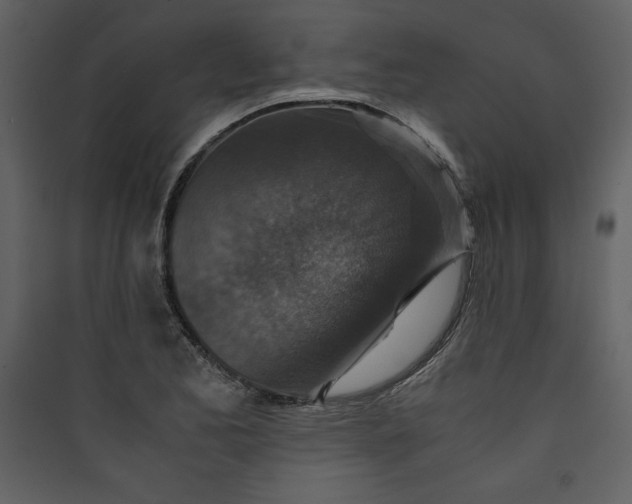 X0000089751173200707121335