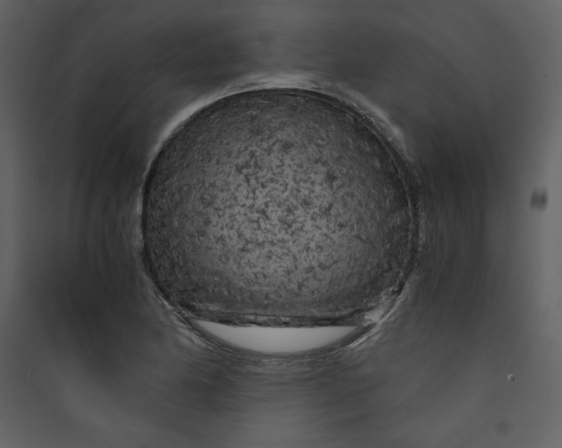 X0000089751174200707121335