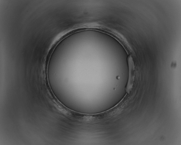 X0000089751176200707121335