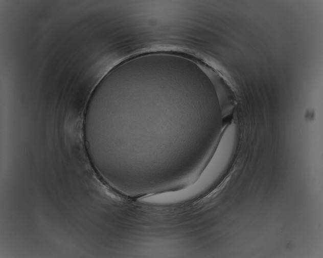 X0000089751177200707121335