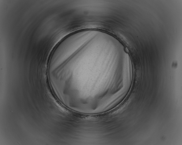 X0000089751178200707121335