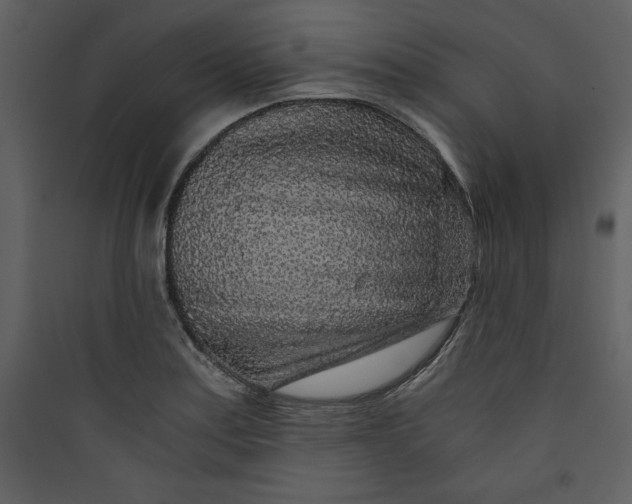 X0000089751179200707121335