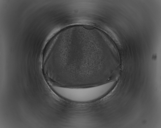 X0000089751180200707121335