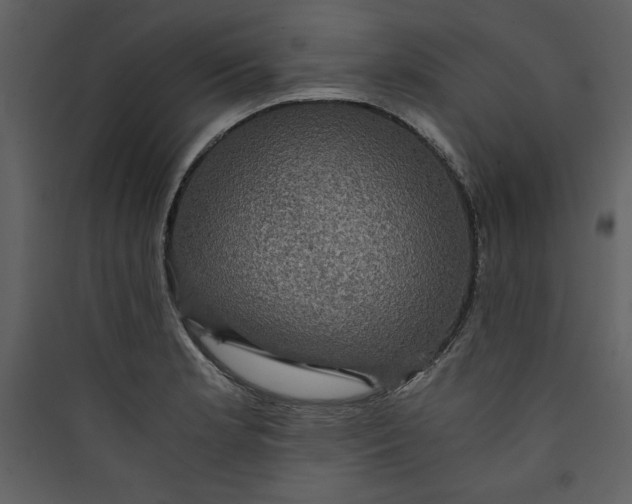 X0000089751181200707121335