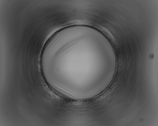 X0000089751182200707121335