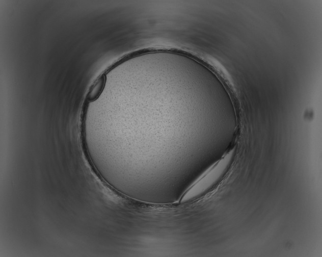 X0000089751183200707121335