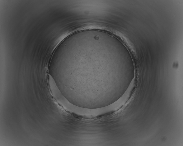 X0000089751185200707121335