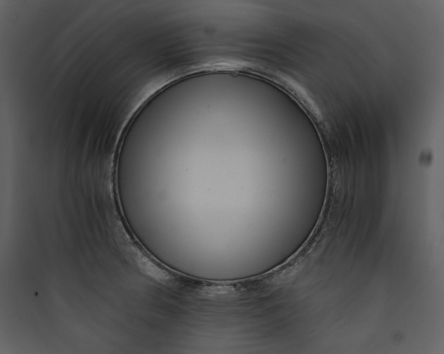 X0000089751186200707121335