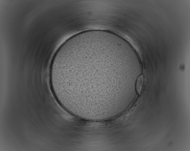 X0000089751187200707121335