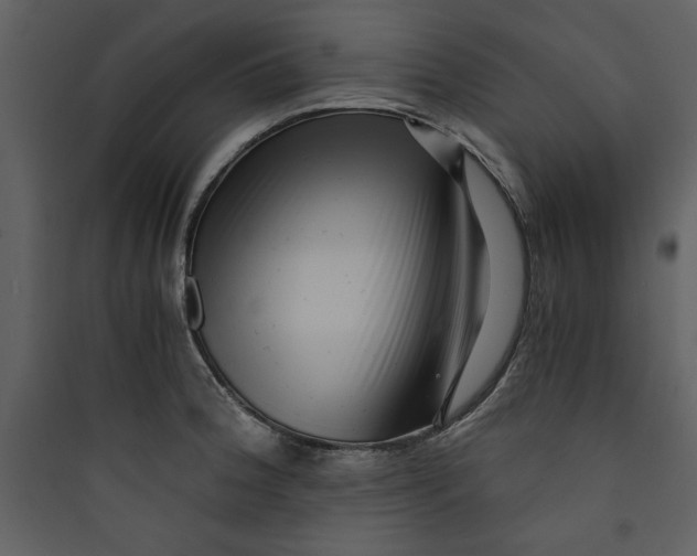 X0000089751188200707121335