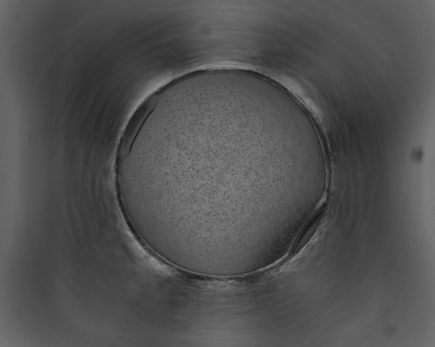 X0000089751189200707121335