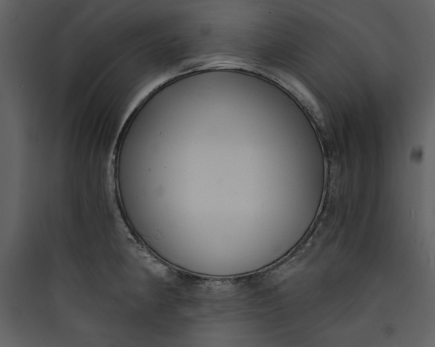 X0000089751190200707121335