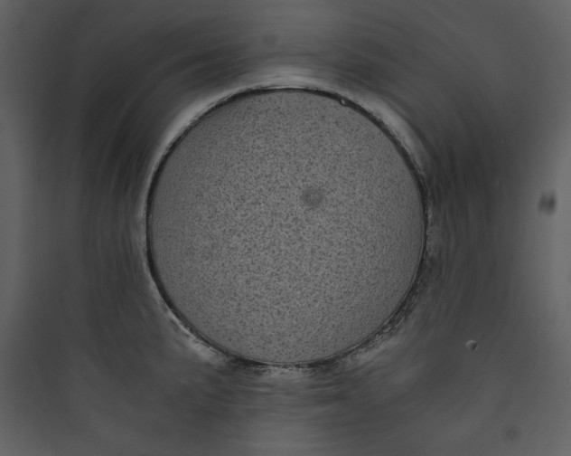 X0000089751191200707121335