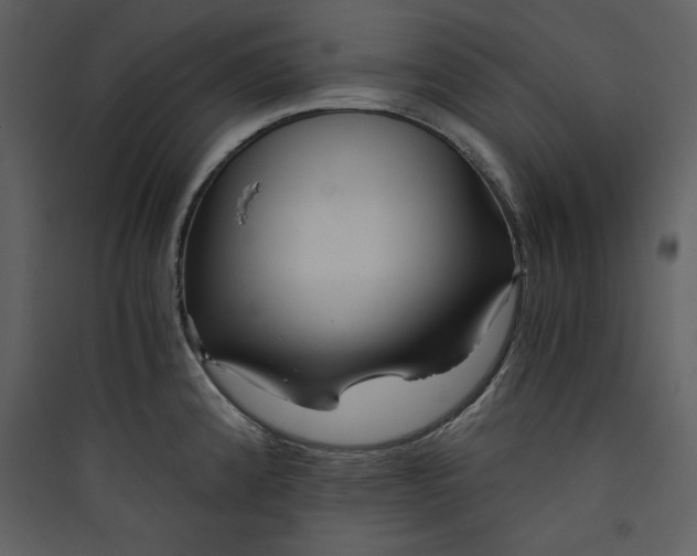 X0000089751192200707121335