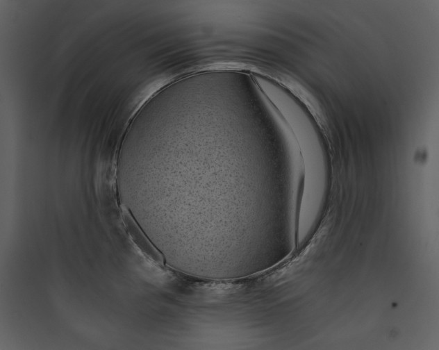 X0000089751193200707121335