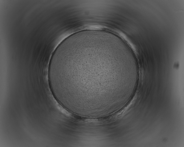 X0000089751194200707121335