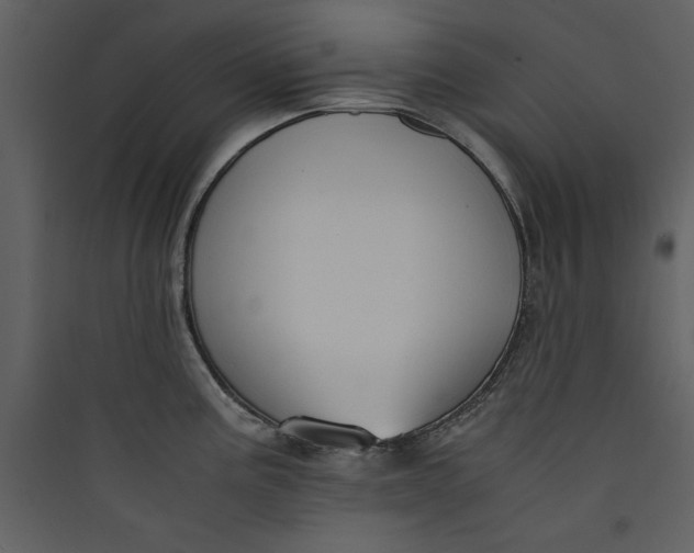 X0000089751195200707121335